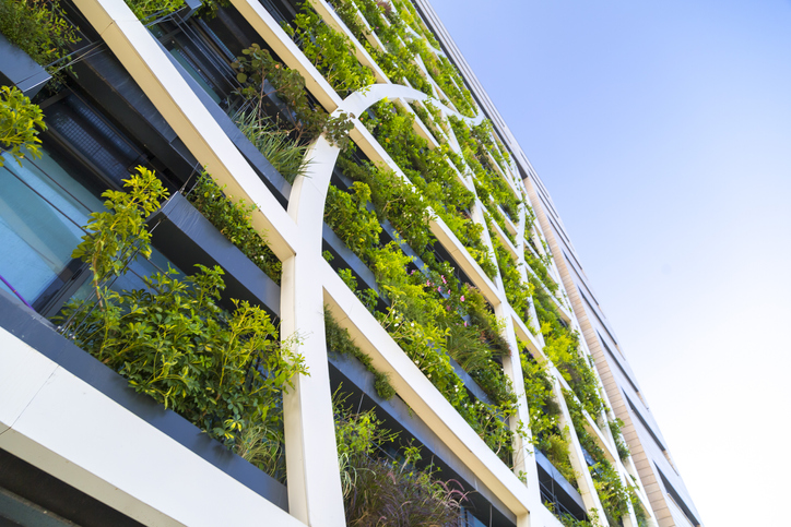 plant-wall plant-wall